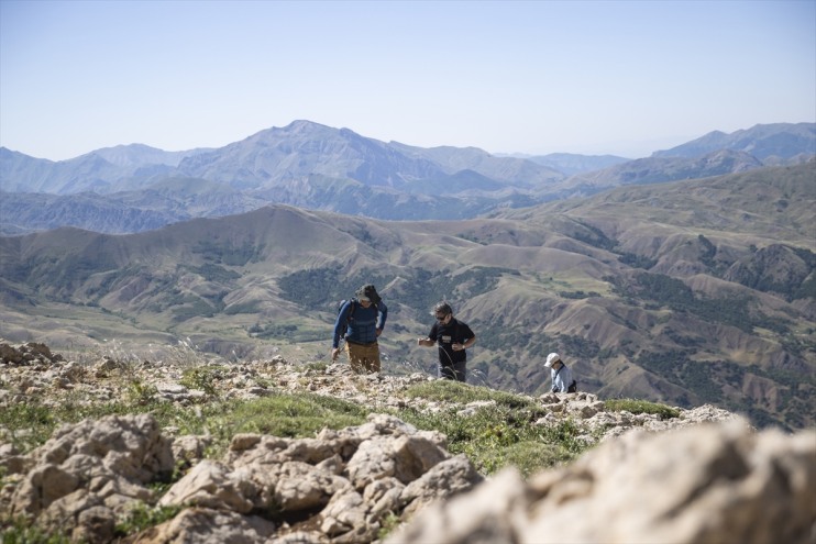 sürüyor yeni zirvelerinde türlerin izini Bitki bin bilimcileri rakımlı Tunceli
