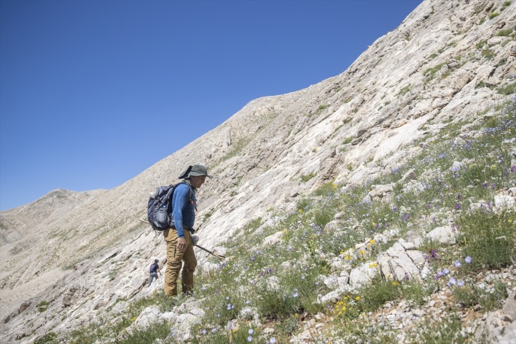 3 rakımlı sürüyor zirvelerinde Tunceli