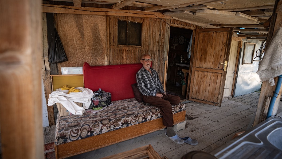 Kanseri yenen Mehmet dede hayatının ikinci baharını arılarla yaşıyor