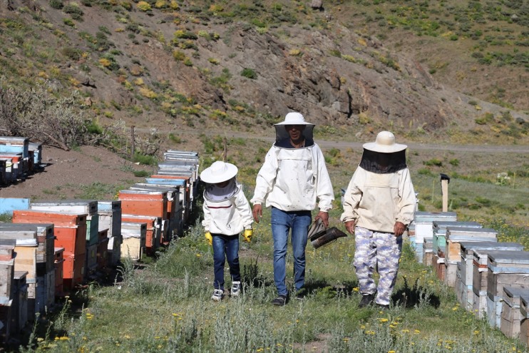 bal dağlara Organik oğlunun araçları yaptığı kullanıyor çıkmak için ürettikleri elektrikli 6