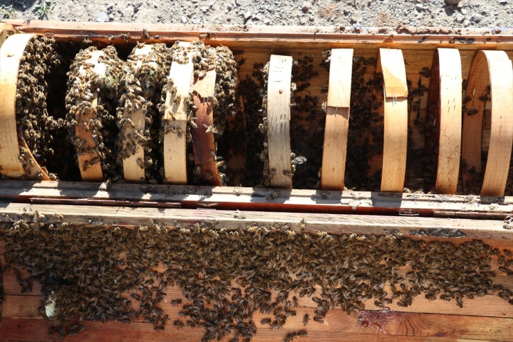 bal için Organik elektrikli yaptığı dağlara çıkmak kullanıyor oğlunun araçları ürettikleri 9