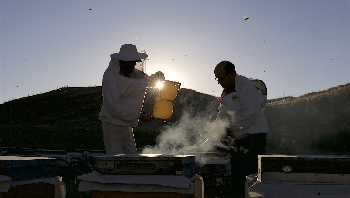 AB tescilli Bingöl balı ABD ve Orta Doğu'ya açılacak