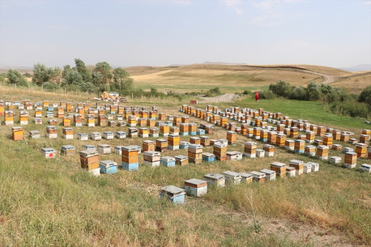 öğreniyor oynamak telefonla Samet, tatilde arıcılığı Ali 16 Ağrılı yerine yaşındaki 2