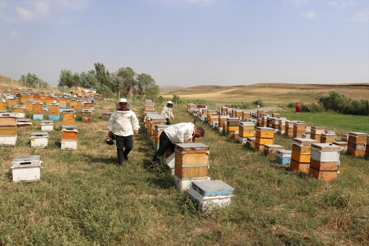 Ali öğreniyor arıcılığı tatilde telefonla yaşındaki Samet, Ağrılı 16 oynamak yerine 12