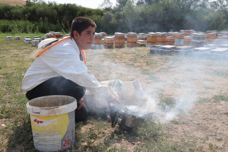 oynamak tatilde telefonla yerine öğreniyor Ağrılı 16 Ali Samet, yaşındaki arıcılığı 13