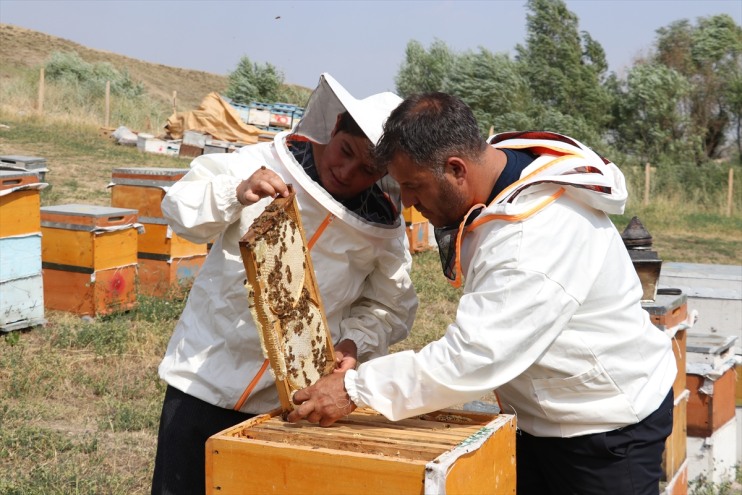 yerine 16 öğreniyor yaşındaki oynamak tatilde telefonla Ali Samet, arıcılığı Ağrılı 14