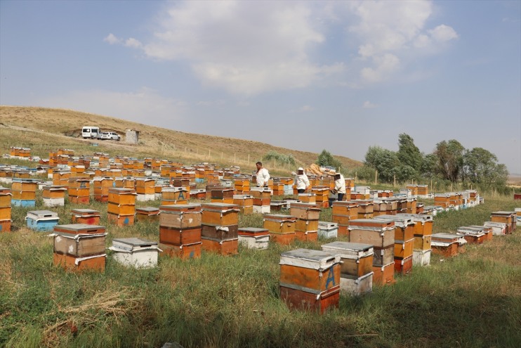 oynamak Ali öğreniyor Ağrılı Samet, yerine 16 arıcılığı telefonla tatilde yaşındaki 3