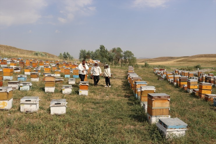 yaşındaki telefonla arıcılığı tatilde Ali 16 yerine öğreniyor Ağrılı Samet, oynamak 5