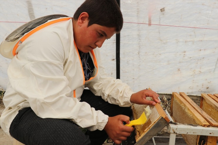 yaşındaki 16 arıcılığı telefonla yerine öğreniyor Ağrılı tatilde Ali oynamak Samet, 7