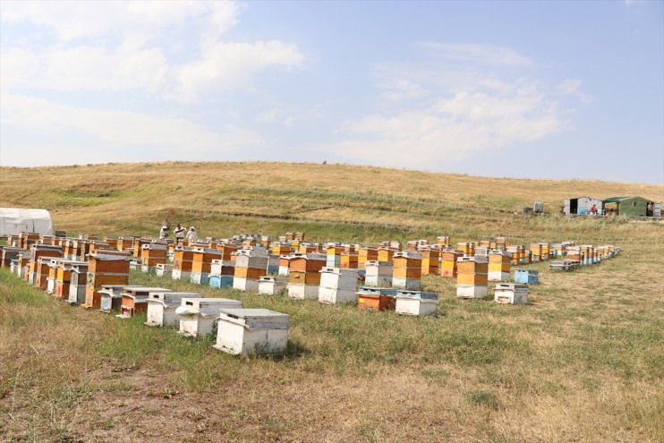 tatilde yaşındaki öğreniyor Samet, telefonla arıcılığı Ali yerine oynamak 16 Ağrılı 9