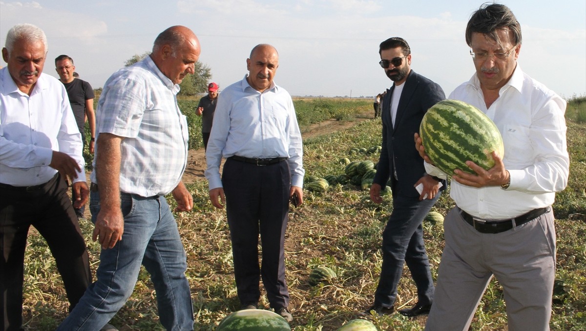 AK Parti Van Milletvekili Türkmenoğlu çiftçileri ziyaret etti