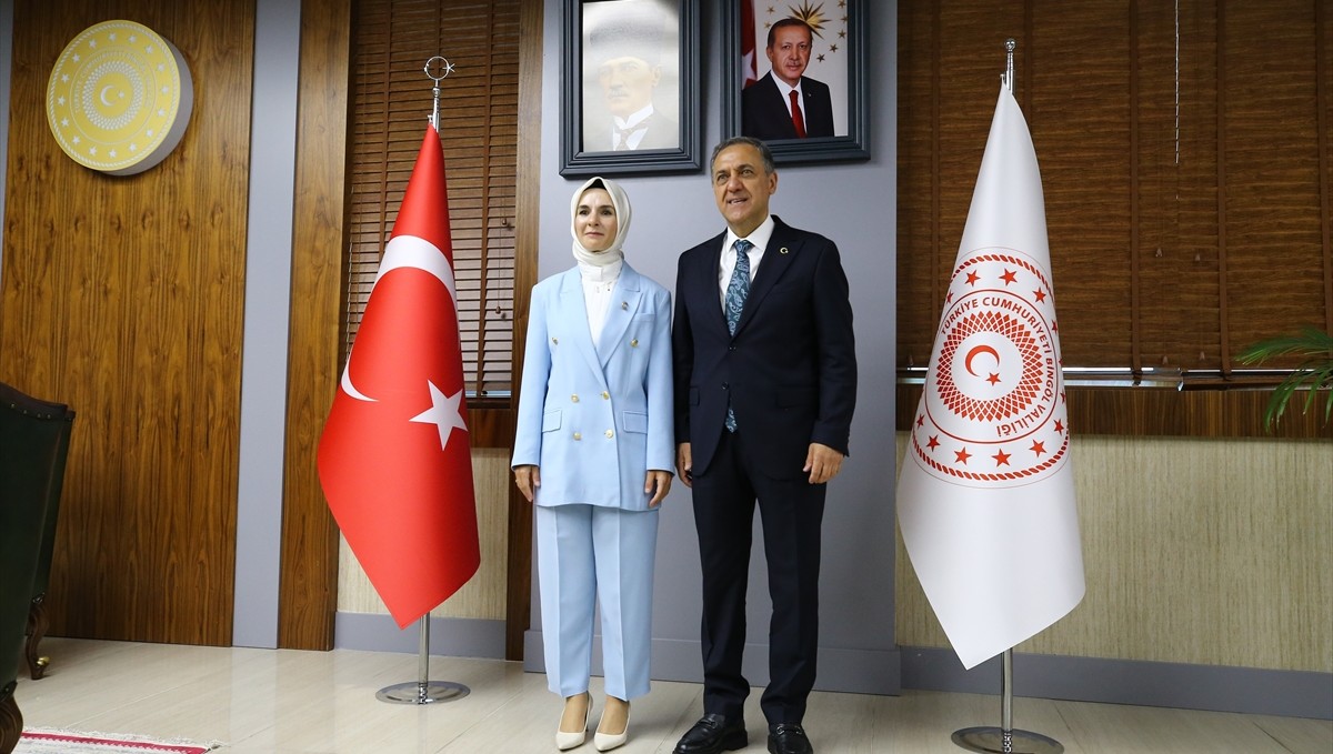 Bakan Göktaş, Bingöl