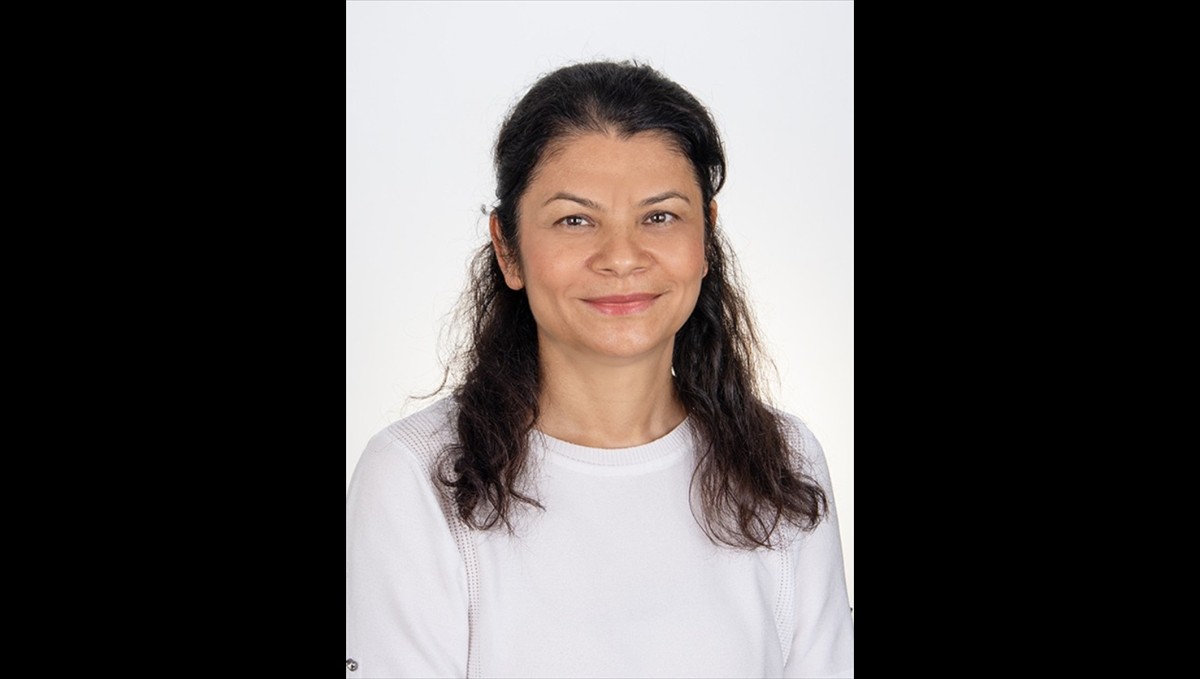 Biruni Üniversitesi