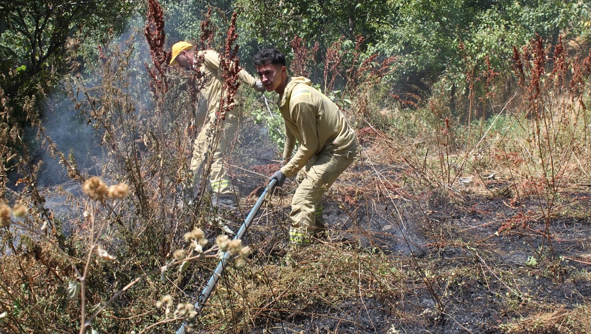 Bitlis'te ağaçlık alanda çıkan yangın söndürüldü