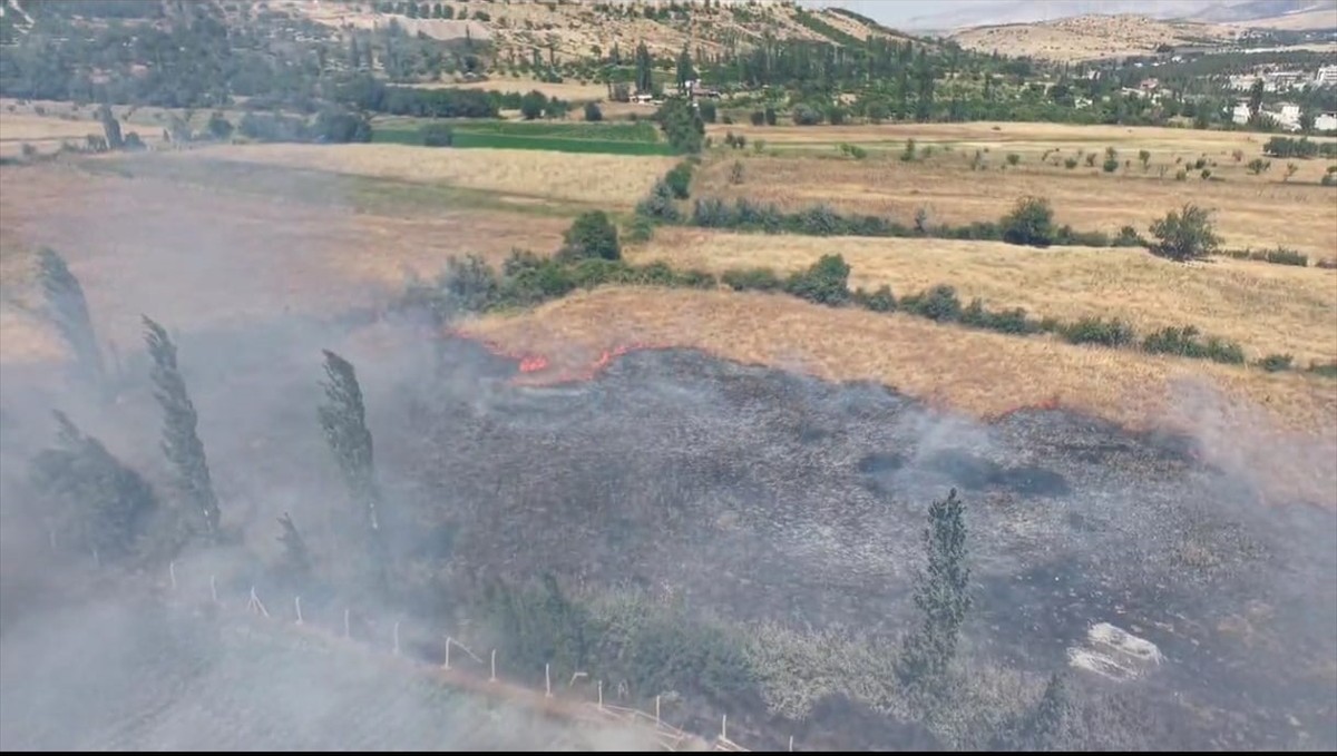 Doğanşehir'de çıkan arazi yangını söndürüldü