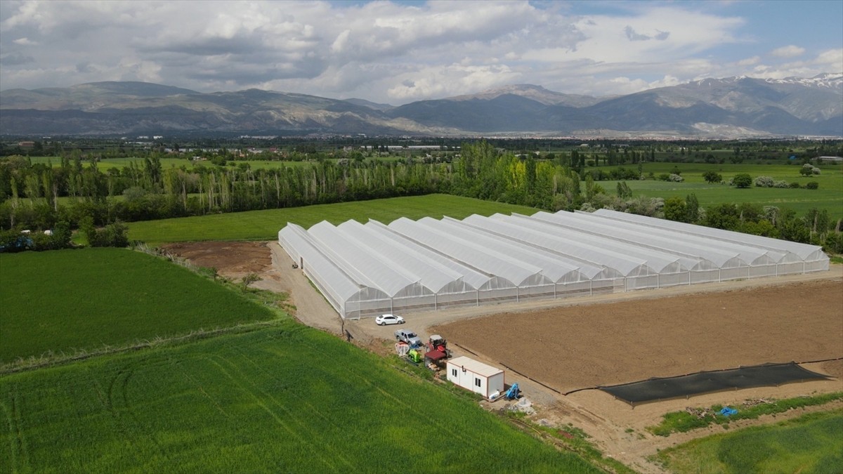 Erzincan'da üretim yapılamayan yıpranmış seralara naylon örtü desteği sağlanacak