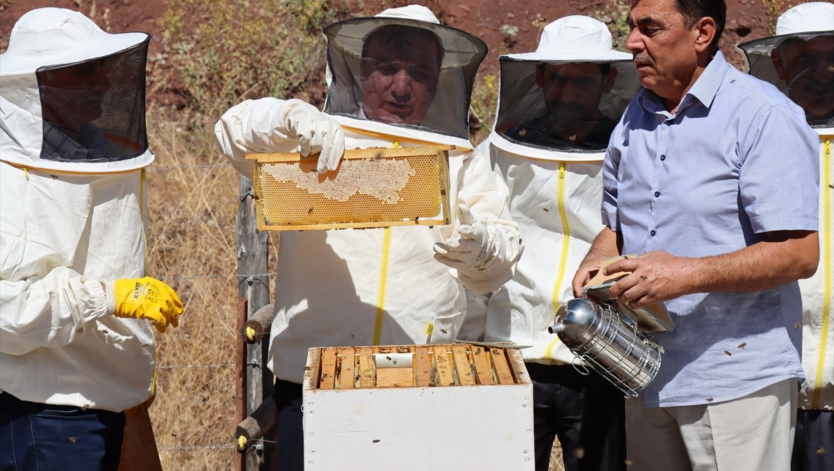 "Erzincan geven balı"nın hasadı yapıldı
