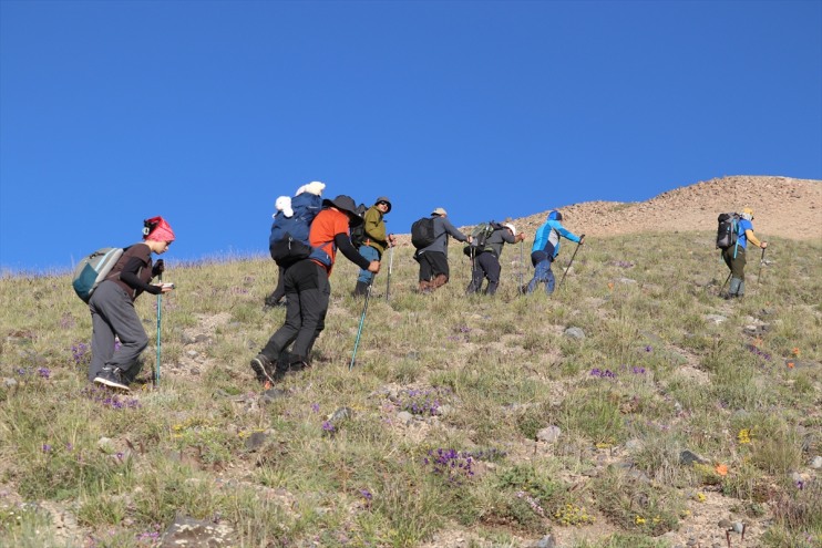 zirvesine liseli Ağrı