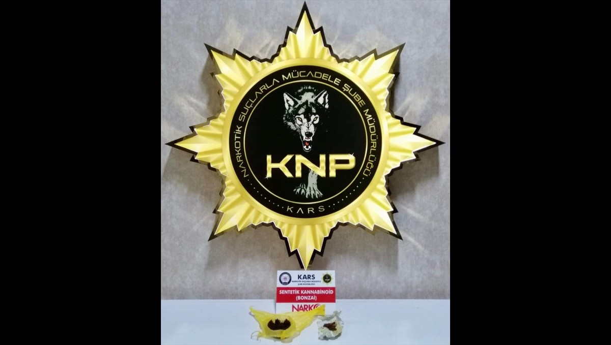 Kars'ta uyuşturucu operasyonunda yakalanan 2 zanlı tutuklandı