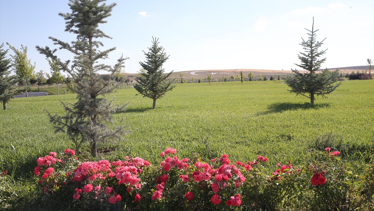 Malazgirt Zaferi kutlamalarının yapılacağı parka 1071