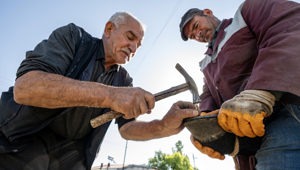 Nalbant aile, köyleri gezerek atları hasada hazırlıyor