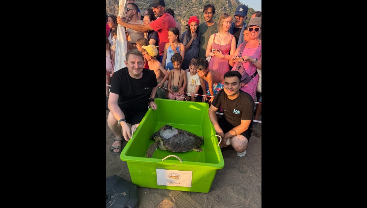 Plan-S geliştirdiği yerli uydu takip cihazıyla deniz kaplumbağalarının izlenmesine destek veriyor