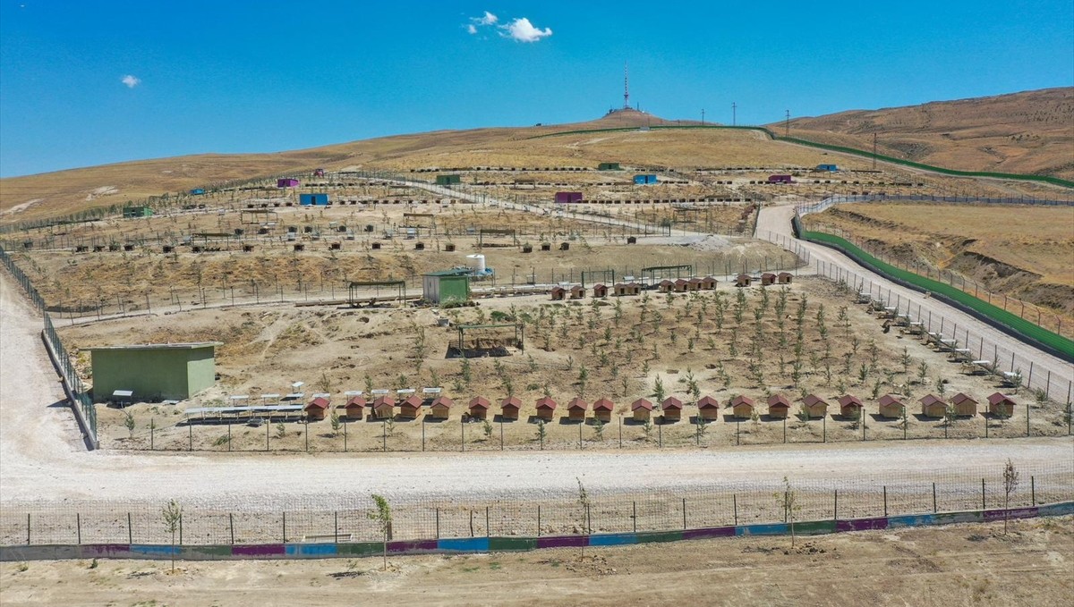 Sahipsiz köpeklerin barındırıldığı doğal yaşam alanı 2 bin fidanla yeşillendirildi