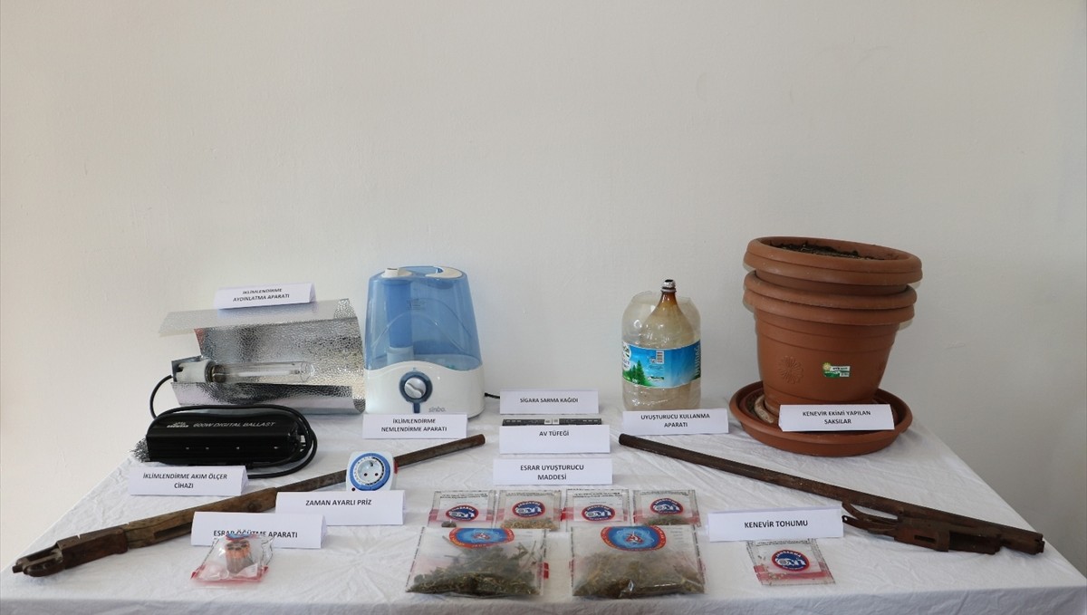 Tunceli'de evinde kenevir yetiştiren şüpheli yakalandı