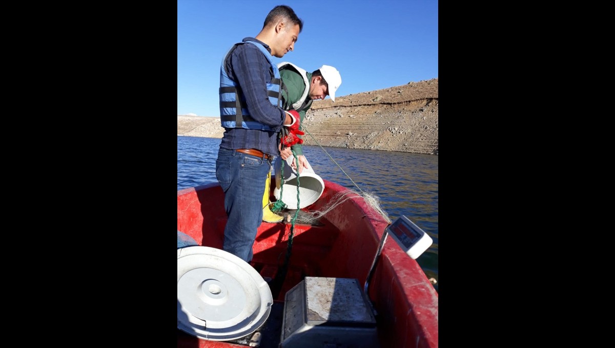 Van'da göl ve sulak alanlarda sazangiller av yasağı sona erdi