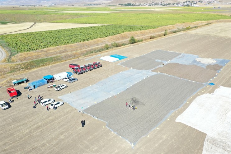 üretimi alanda yapılan dekarlık Ağrı