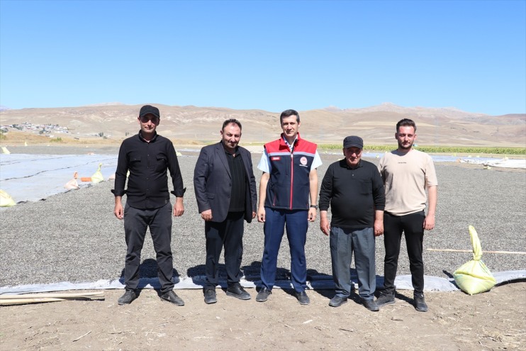 yapılan üretimi 50 dekarlık Ağrı