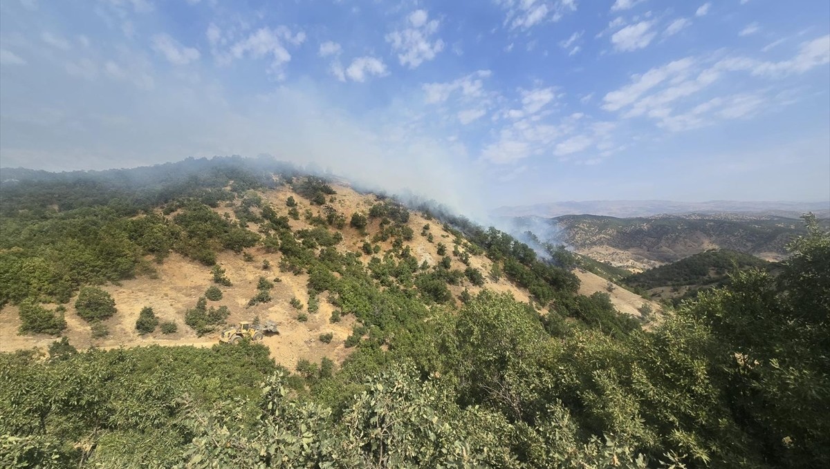 Bingöl'de çıkan orman yangınına müdahale ediliyor