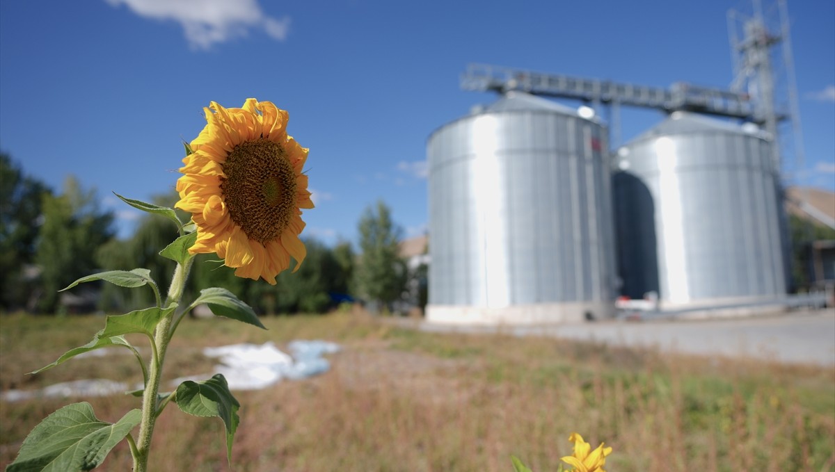 Devlet desteğiyle işini geliştirip tarımsal ihracat ödülü alan üretici hedef büyüttü