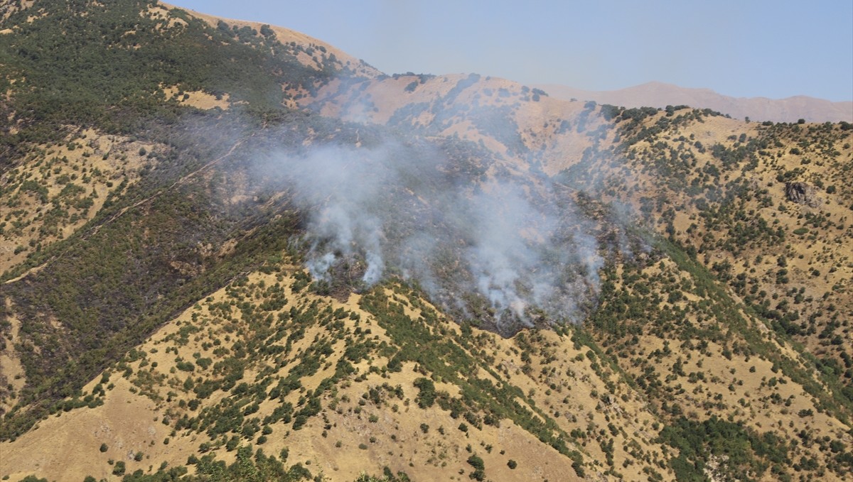 Hakkari'de ormanlık alanda çıkan yangına müdahale sürüyor