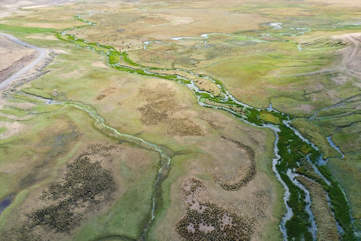 2 rakımlı 35 kuş edildi türü Iğdır