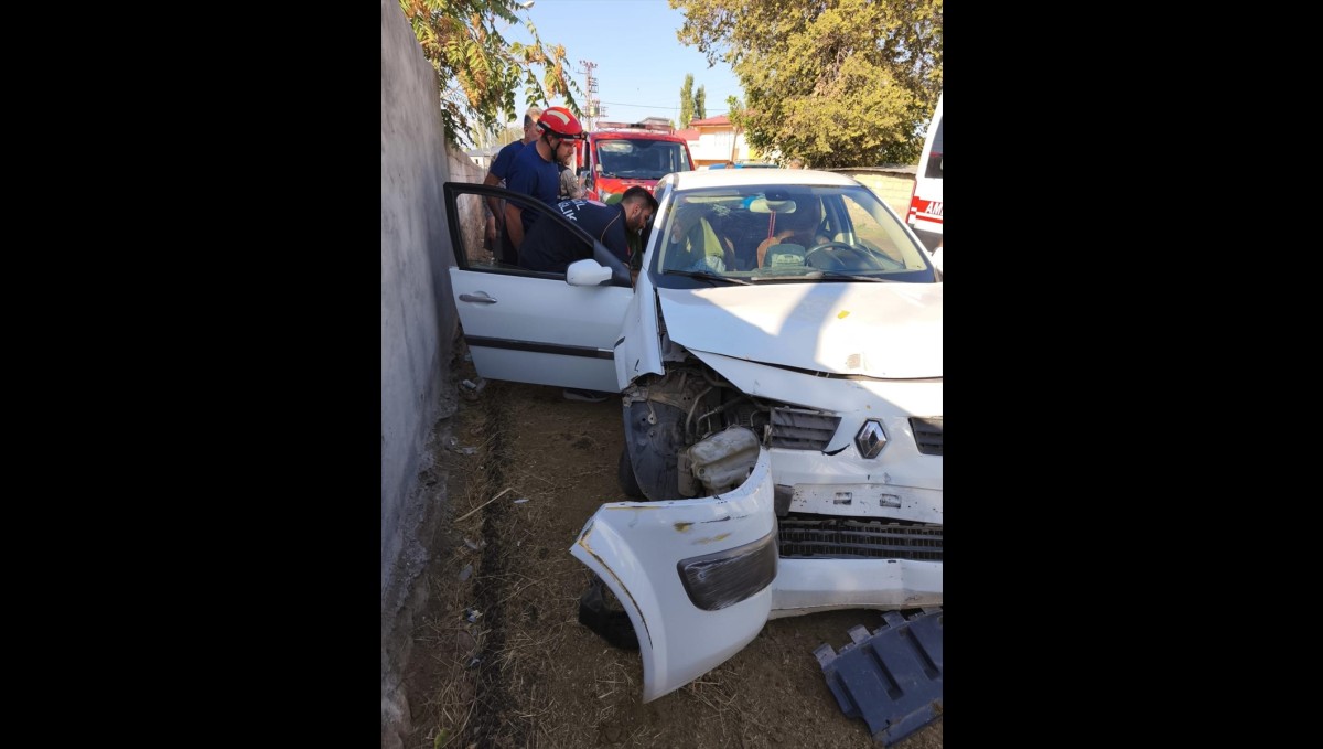 Iğdır'da direğe çarpan otomobildeki 3 kişi yaralandı