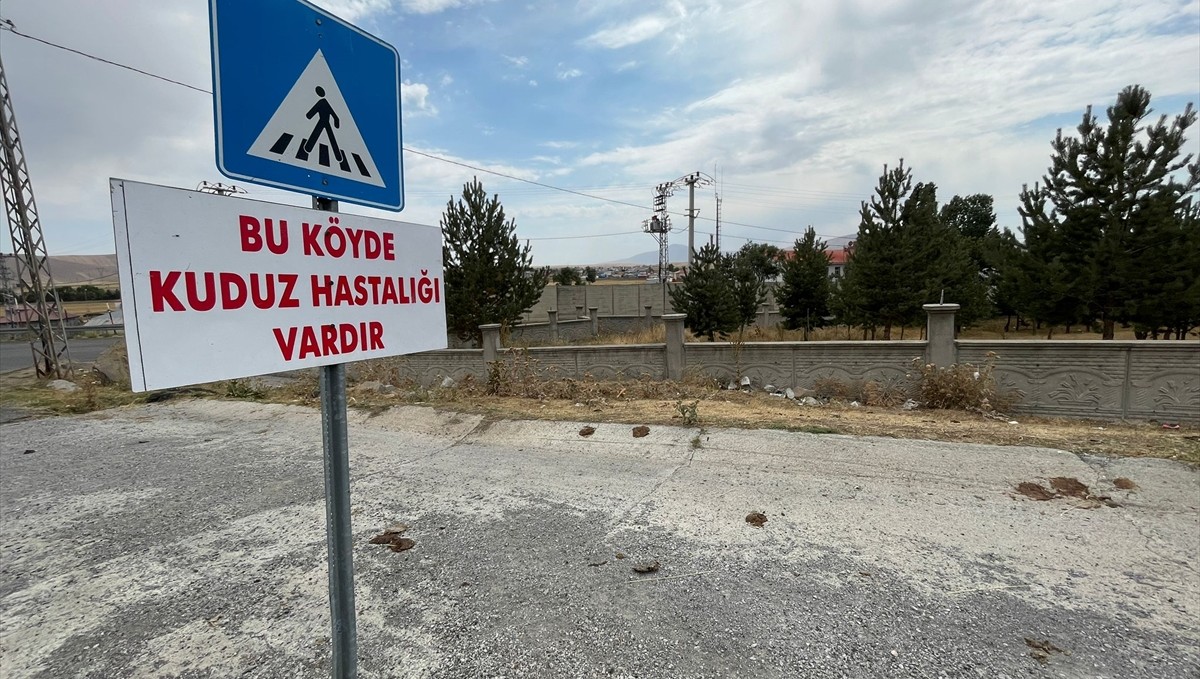 Kars'ta tilkiyle boğuşan köpek telef olunca belde kuduz karantinasına alındı