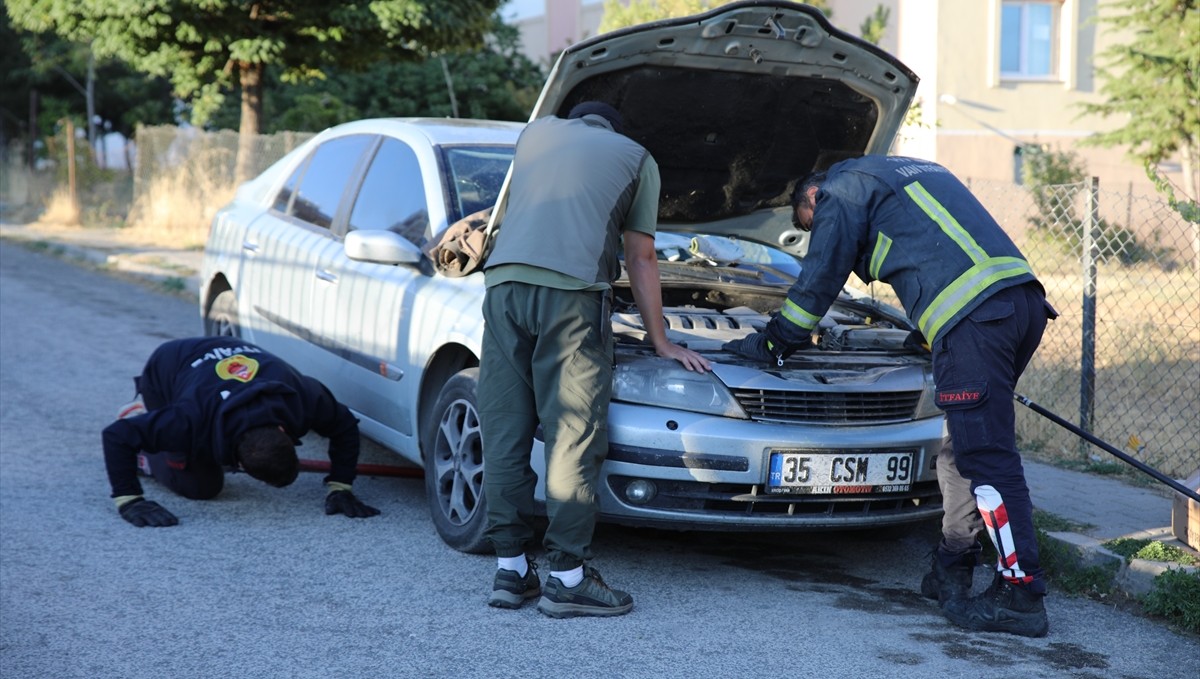 Köpeklerden kaçan su samuru otomobilin kaputuna sığındı