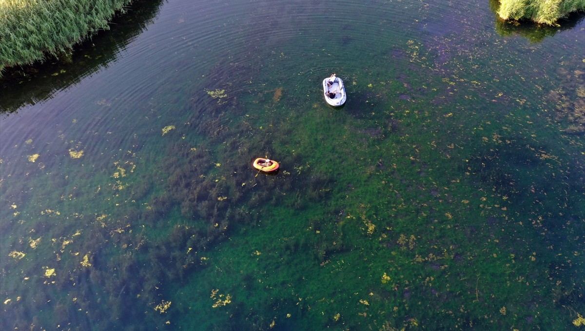 Kuşların Ağrı Dağı eteğindeki yuvası Karasu bataklığa dönüşme tehlikesi altında