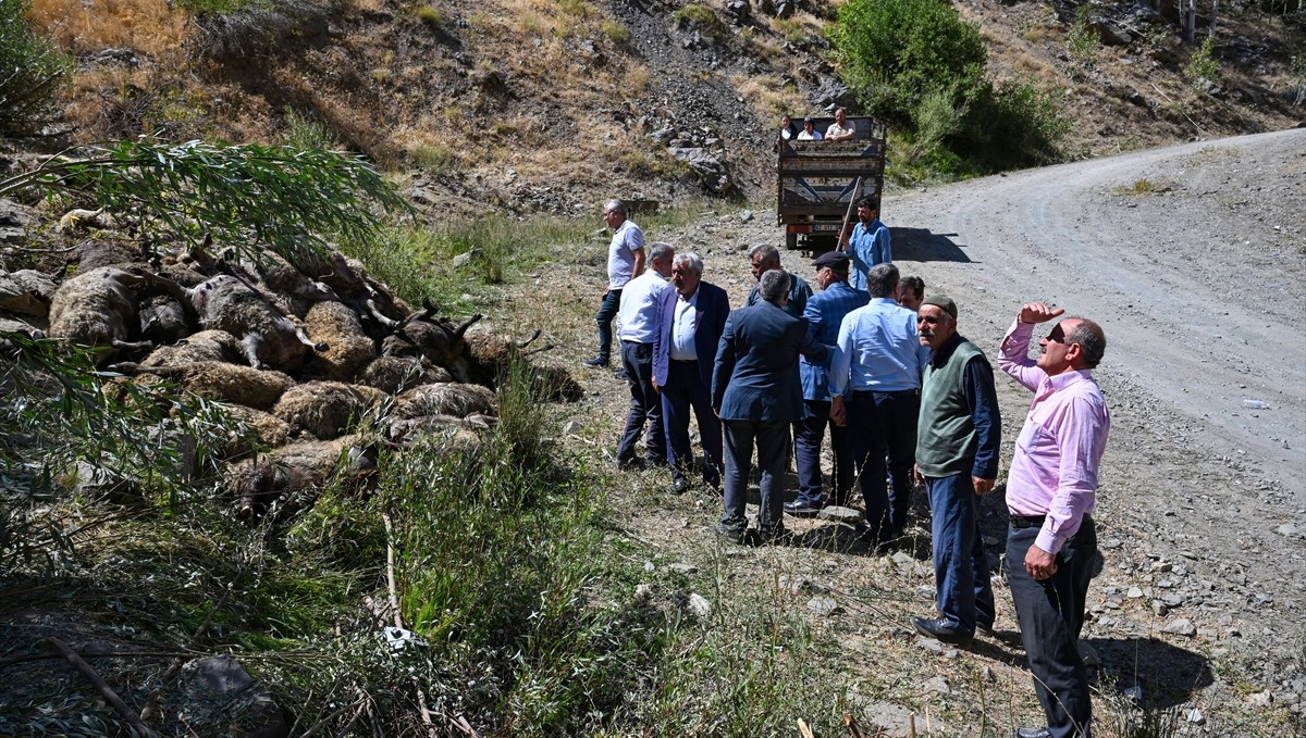 Van'da kayalık alandan düşen 334 küçükbaş hayvan telef oldu