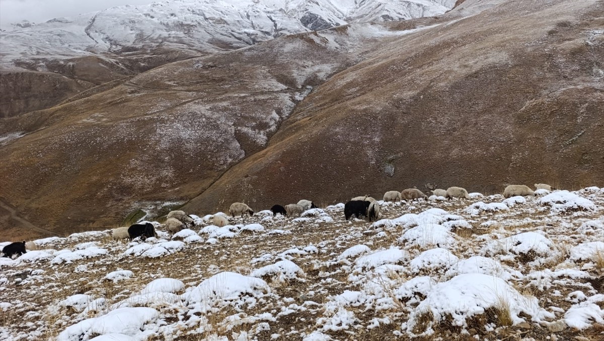 Van'ın yüksek kesimlerine kar yağdı