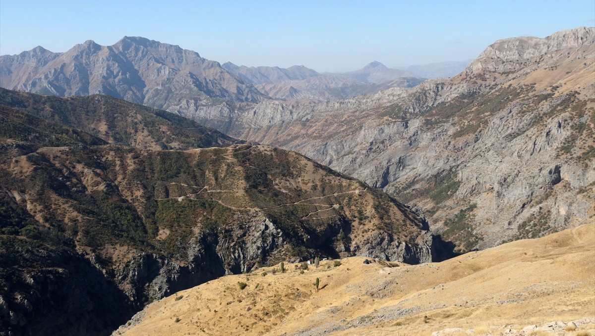 Ailesiyle yalnız yaşadığı köyde yılda 2,5 ton bal üretiyor