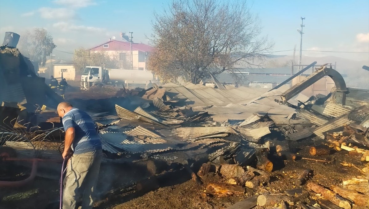 Ardahan'da ahırda çıkan yangında 23 hayvan telef oldu