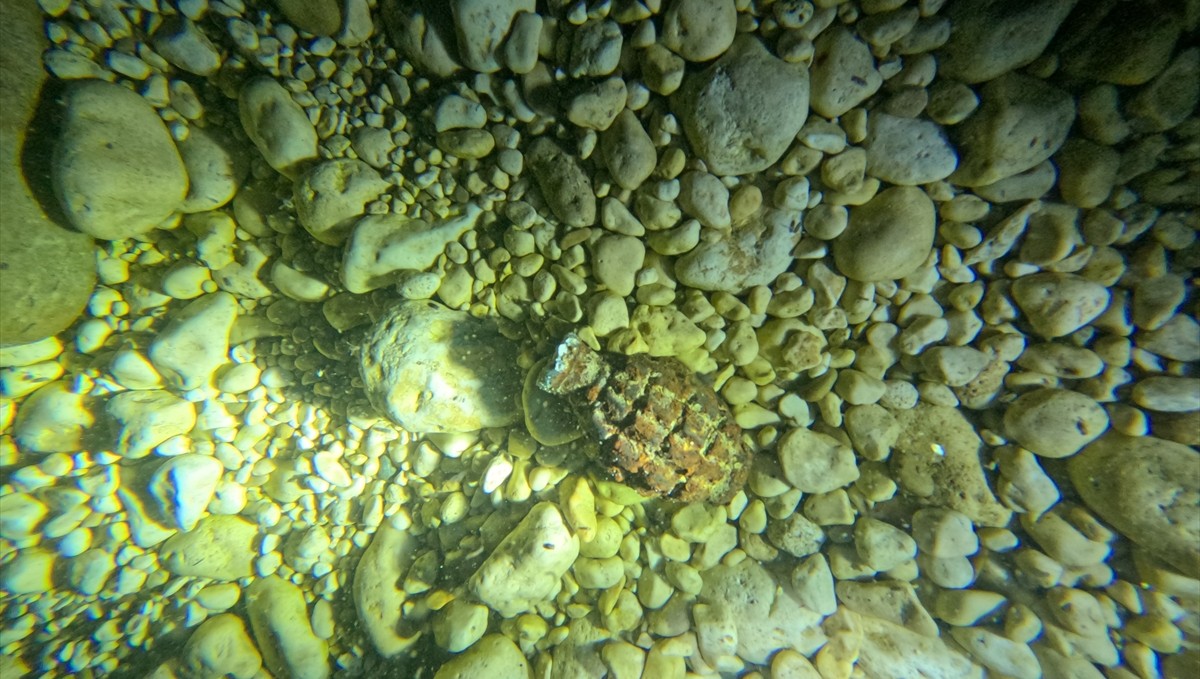 Bitlis'te görevli "kurbağa adamlar" ve deniz polisleri dalış ve tatbikatlarla göreve hazırlanıyor