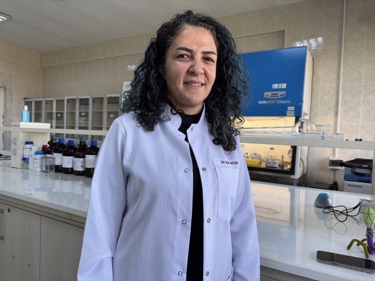 yara daha örtüsü hızlı iyileşmesini geliştirilecek yaraların diyabetik kullanılarak sağlayacak Bor 2