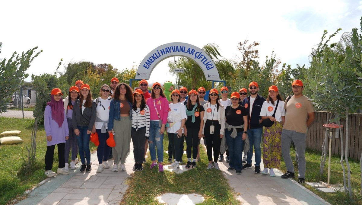 Borusanlı gönüllüler sokak hayvanları için HEPAD ile işbirliği yaptı