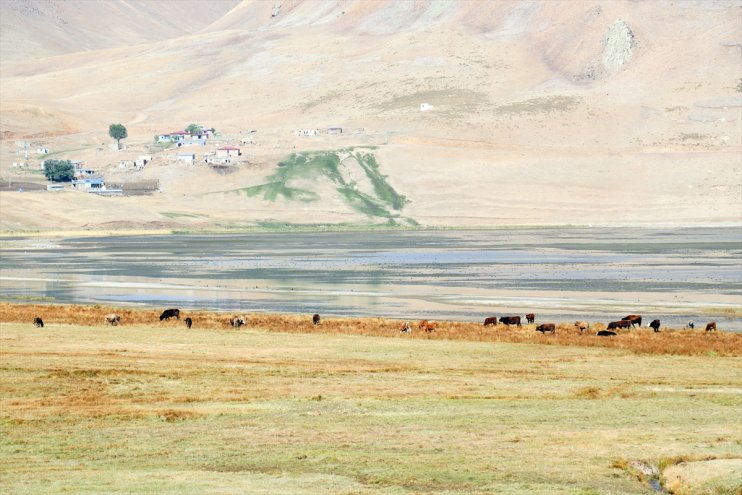 Doğa harikası Balık Gölü iklim değişikliği ve beşeri etkenle küçülüyor10