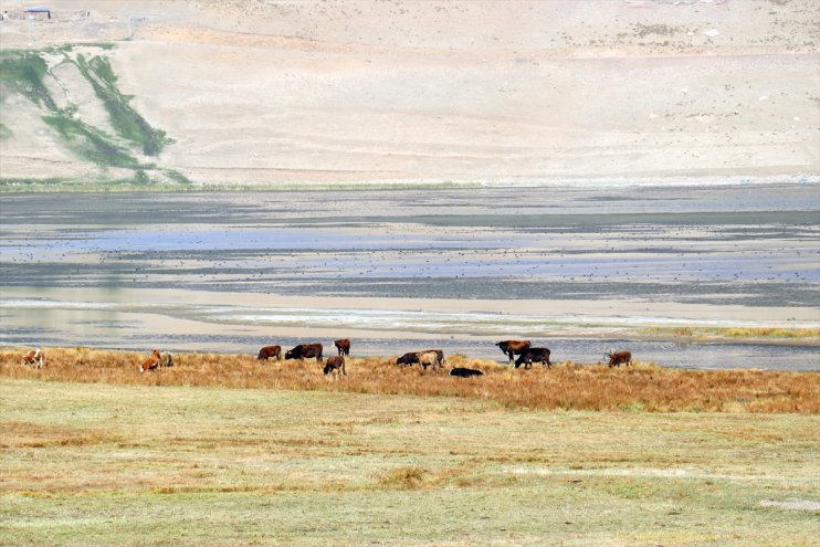 Doğa harikası Balık Gölü iklim değişikliği ve beşeri etkenle küçülüyor7