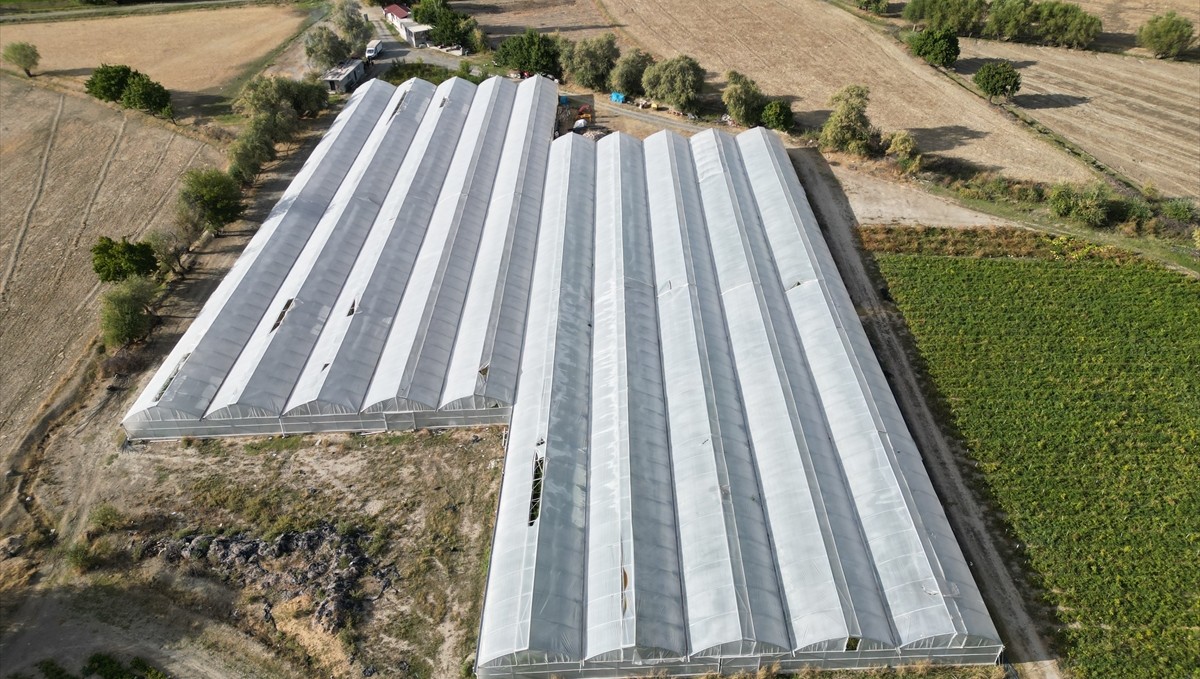 Erzincanlı Zeynep gündüz serada sebze akşam ise salonda sporcu yetiştiriyor