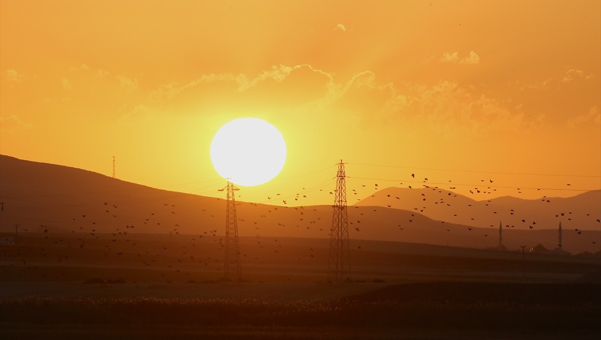 Göç yolculuğu başladı, Muş'taki sulak alanlar kuşlarla şenlendi